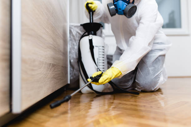 Best Rat Extermination Near Me  in Gananda, NY