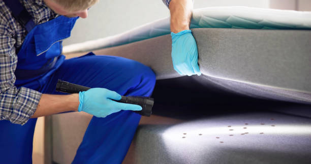 Best Pest Prevention Services  in Gananda, NY