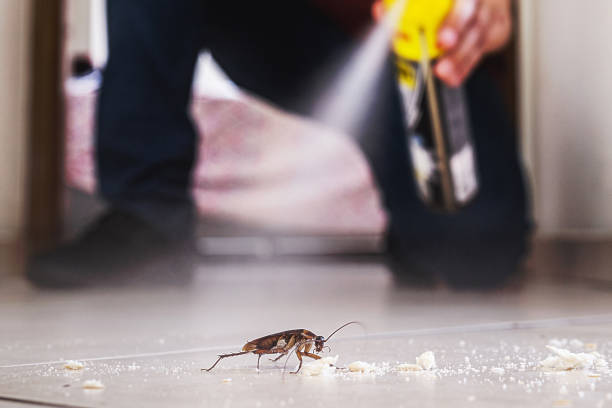 Pest Control for Restaurants in Gananda, NY