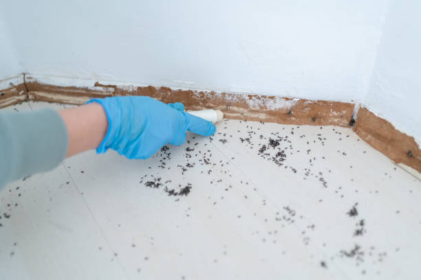 Wildlife Control Services in Gananda, NY